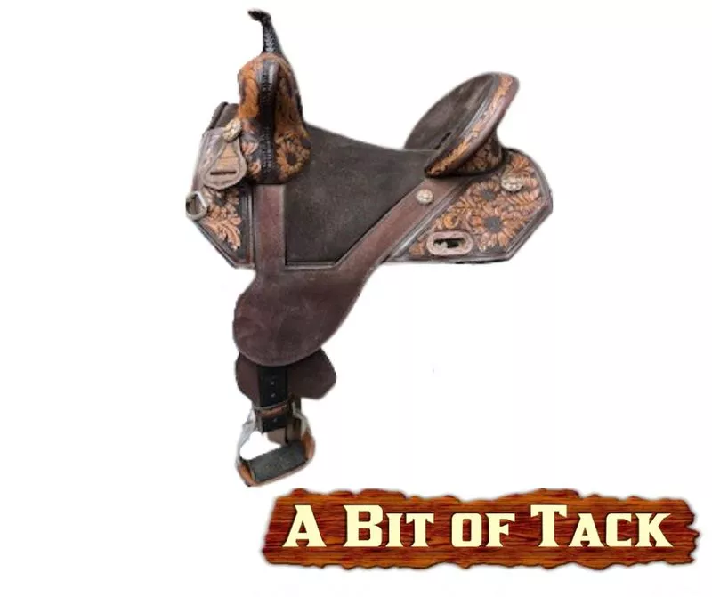 14.5" Used Circle Y Treeless Horse Tack World Barrel Saddle