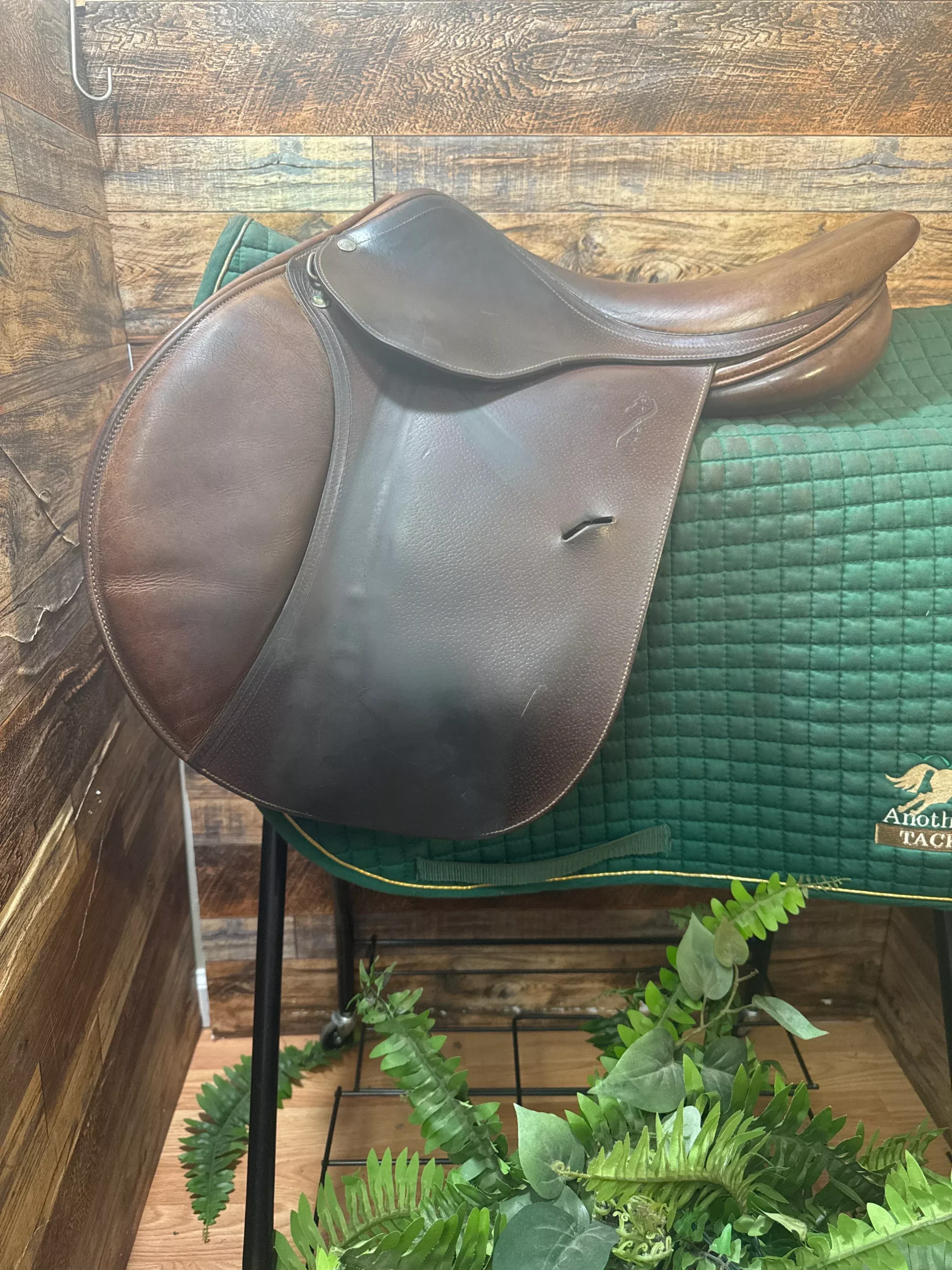 16.5" Antares CC Saddle