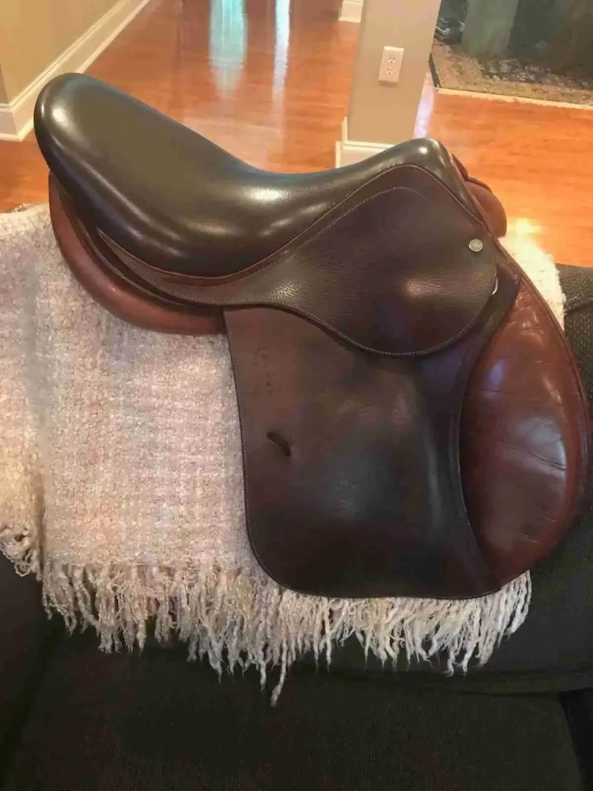 16,5” Antares Jumping Saddle
