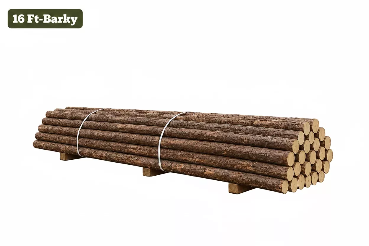 16' Lodge Pole, Barky