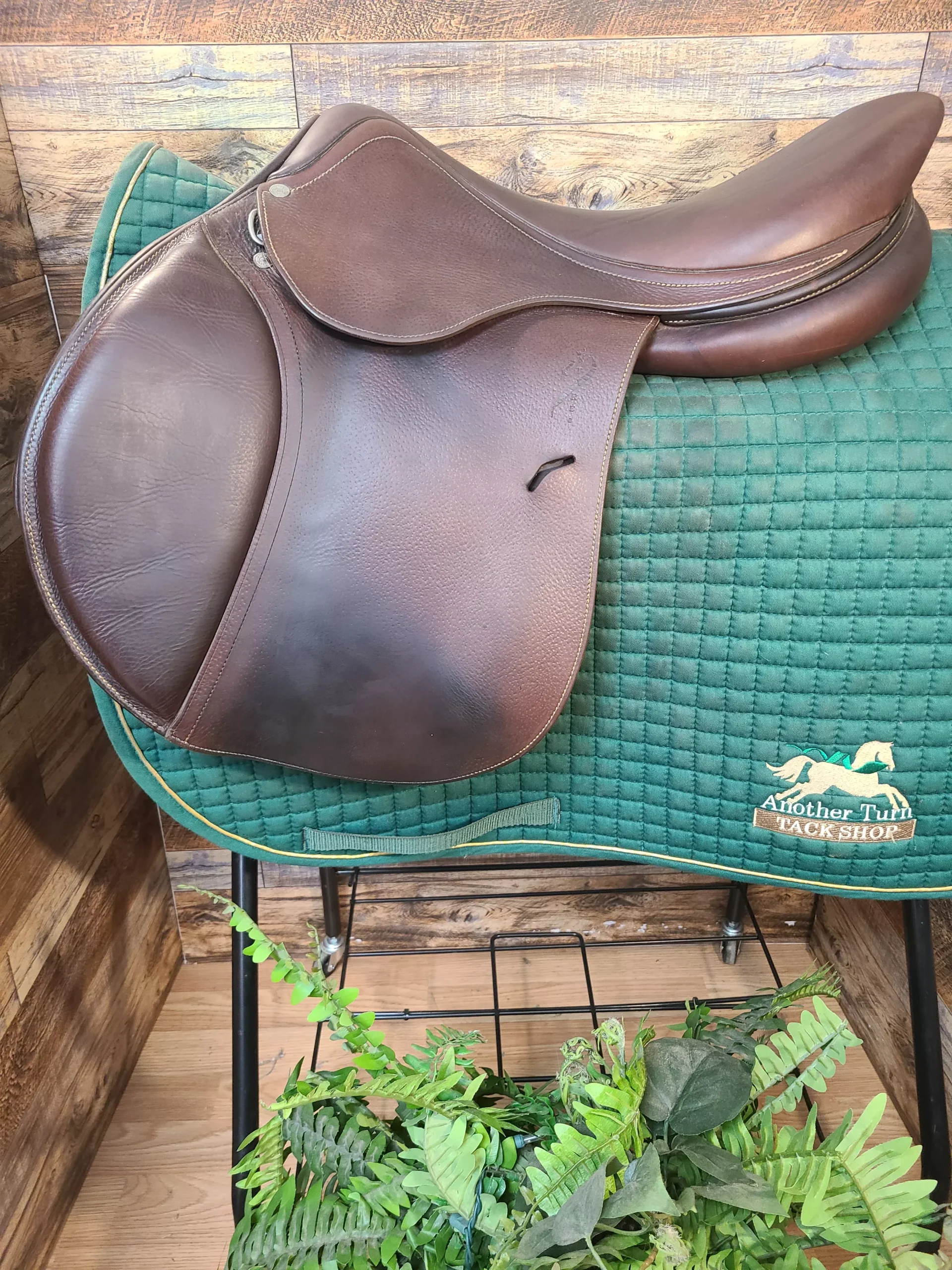 17.5" Antares Classique 2017 Close Contact