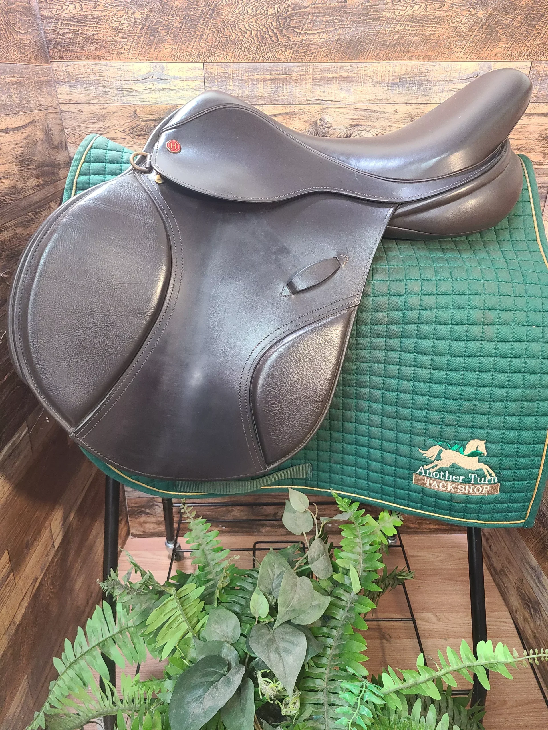 17.5" Hastilow Concept