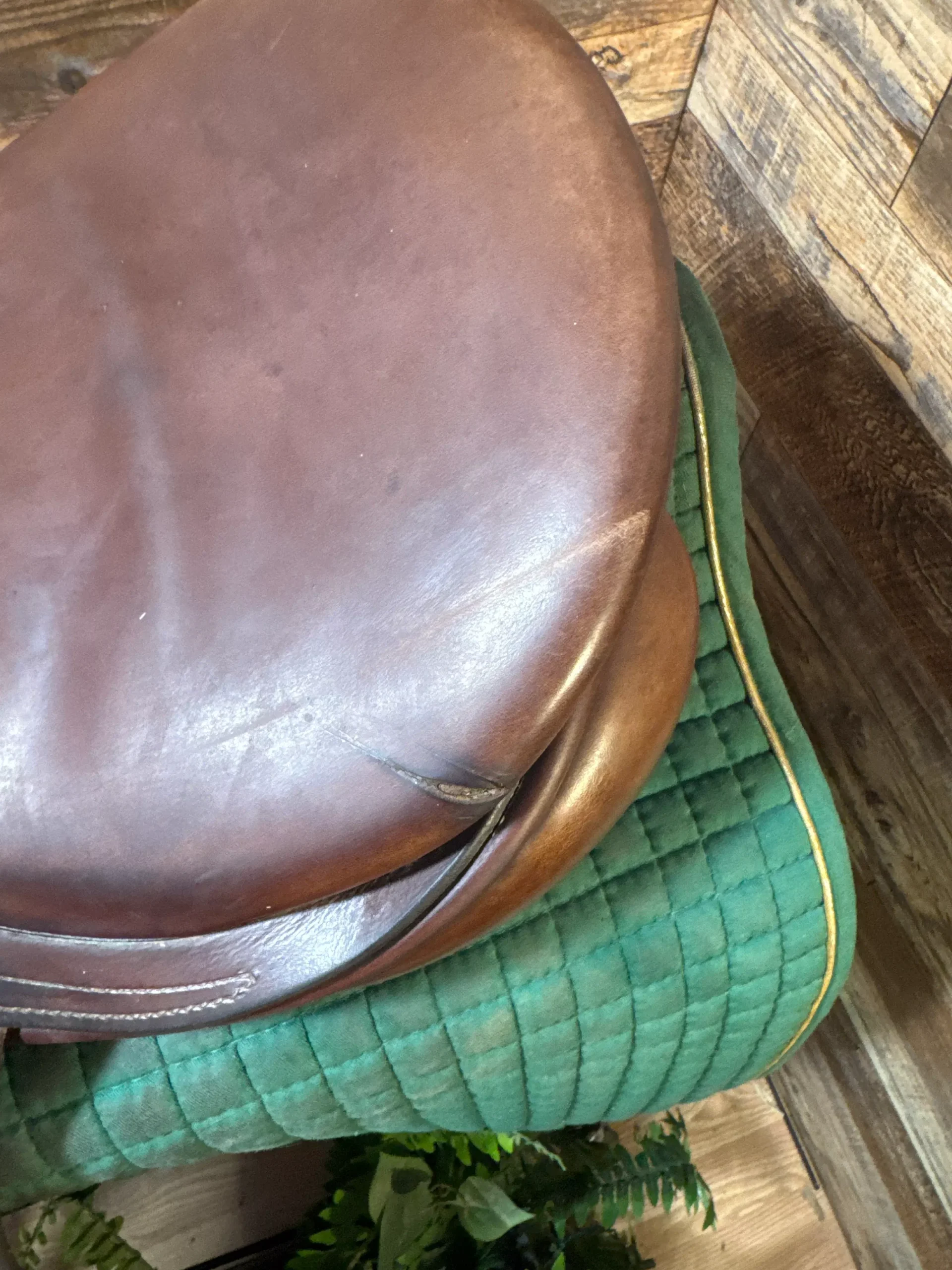 17" County (2002) Conquest Jump Saddle