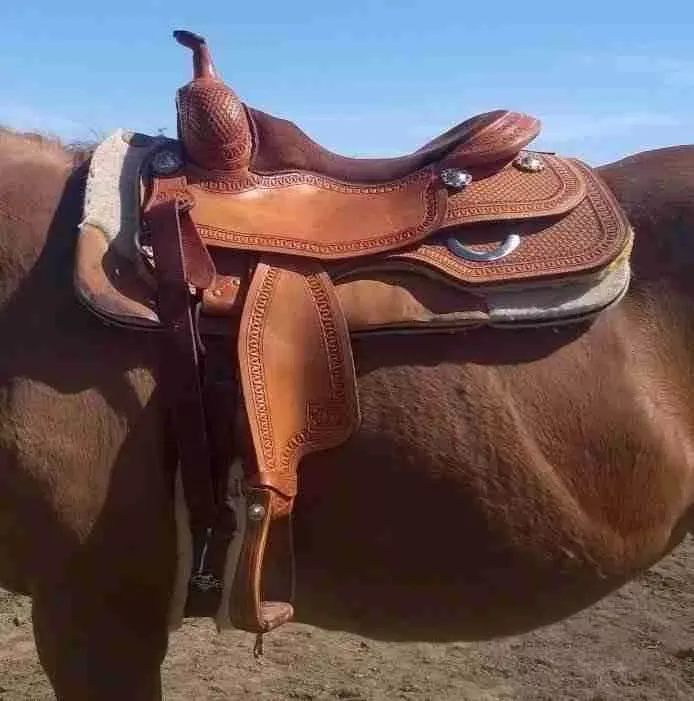 17” Elite Custom show reining Saddle (Silver Mesa)