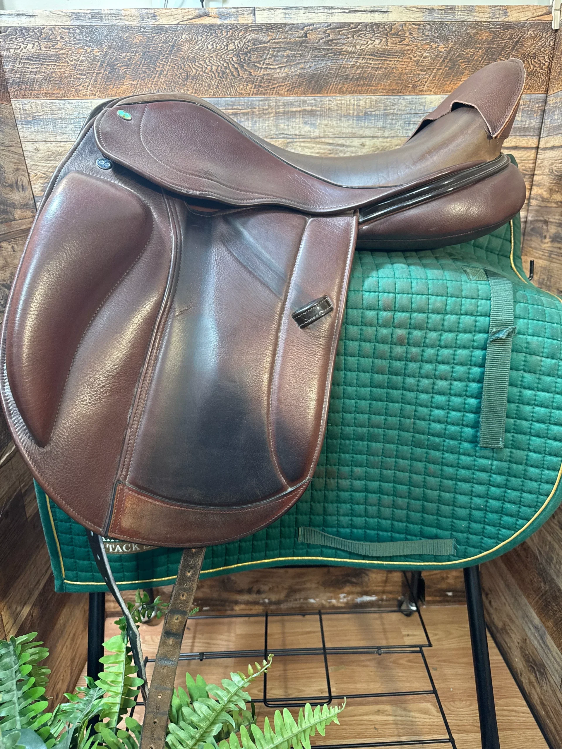 18.5" Takt by Frank Baines Dressage (2020)