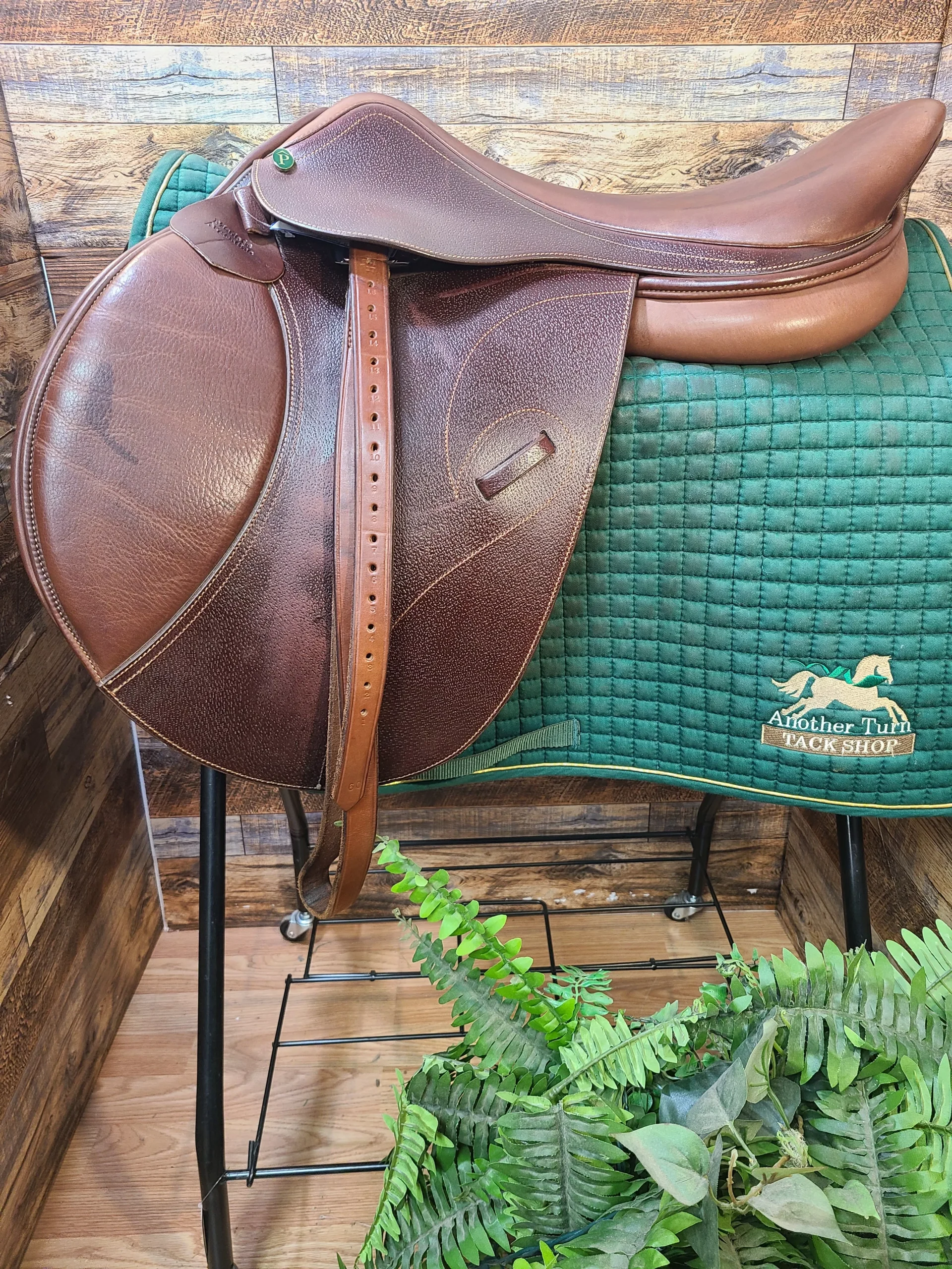 19" Pennicale Close Contact