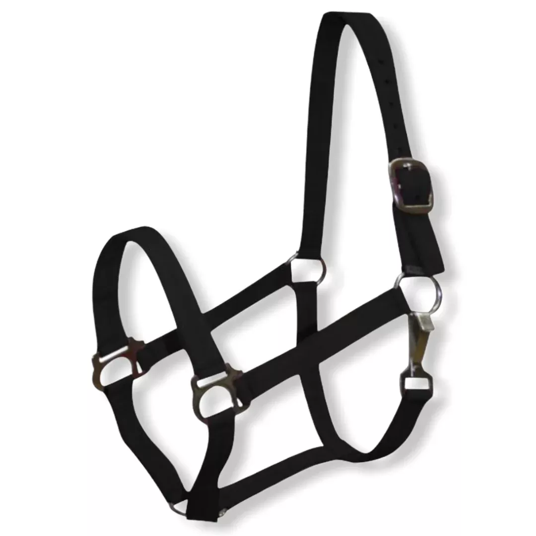 2 Ply Pony size turnout nylon halter with snap