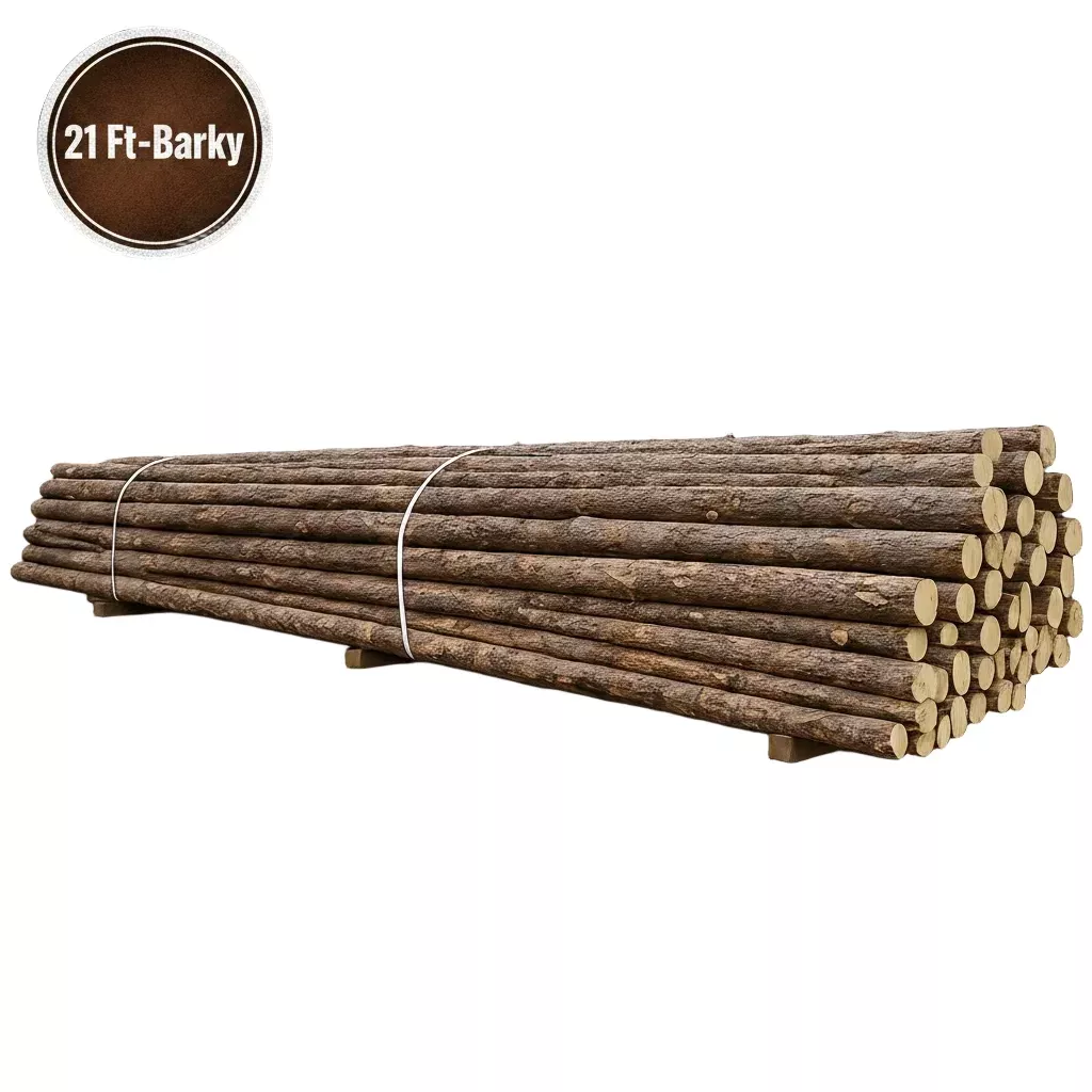 21' Lodge Pole, Barky