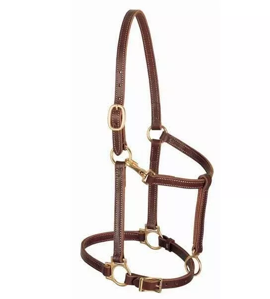 3/4" Leather Horse Halter
