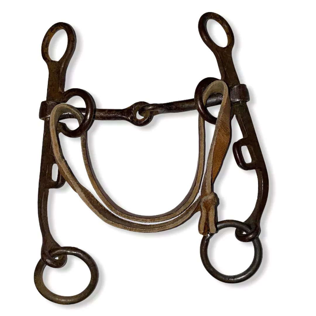 4 3/4” Swept Back Shank