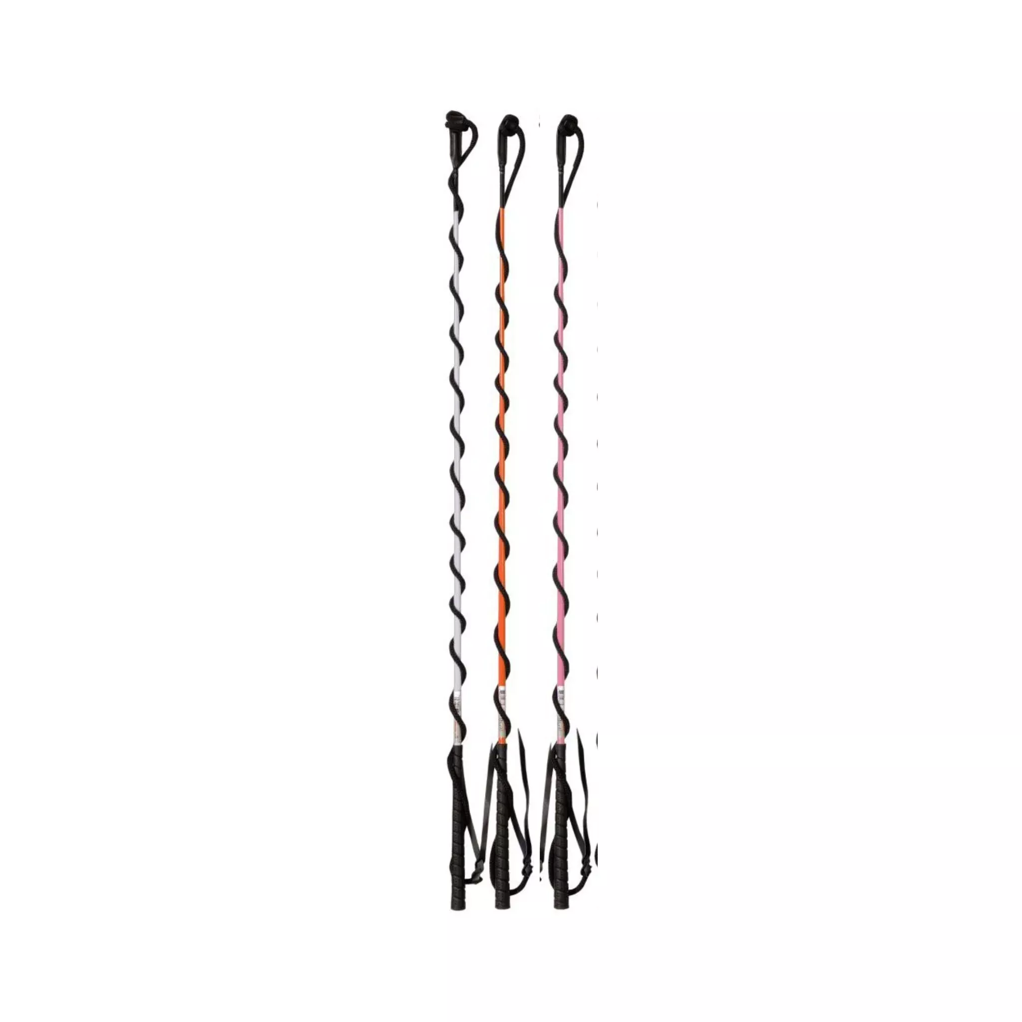 4' Training Whip with 5' Lash