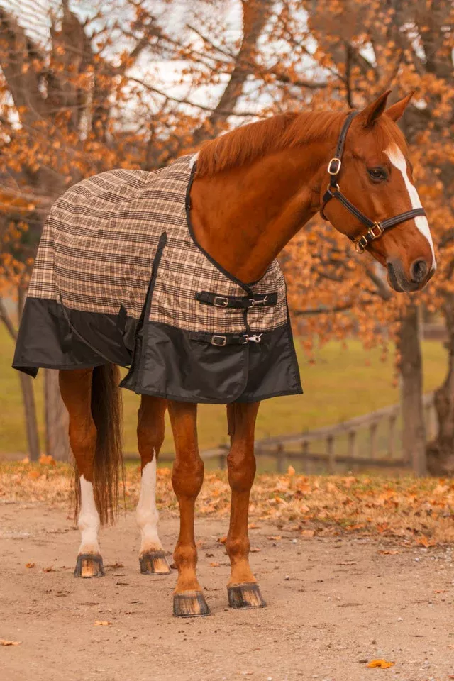 5/A Baker Black Label Turnout Sheet