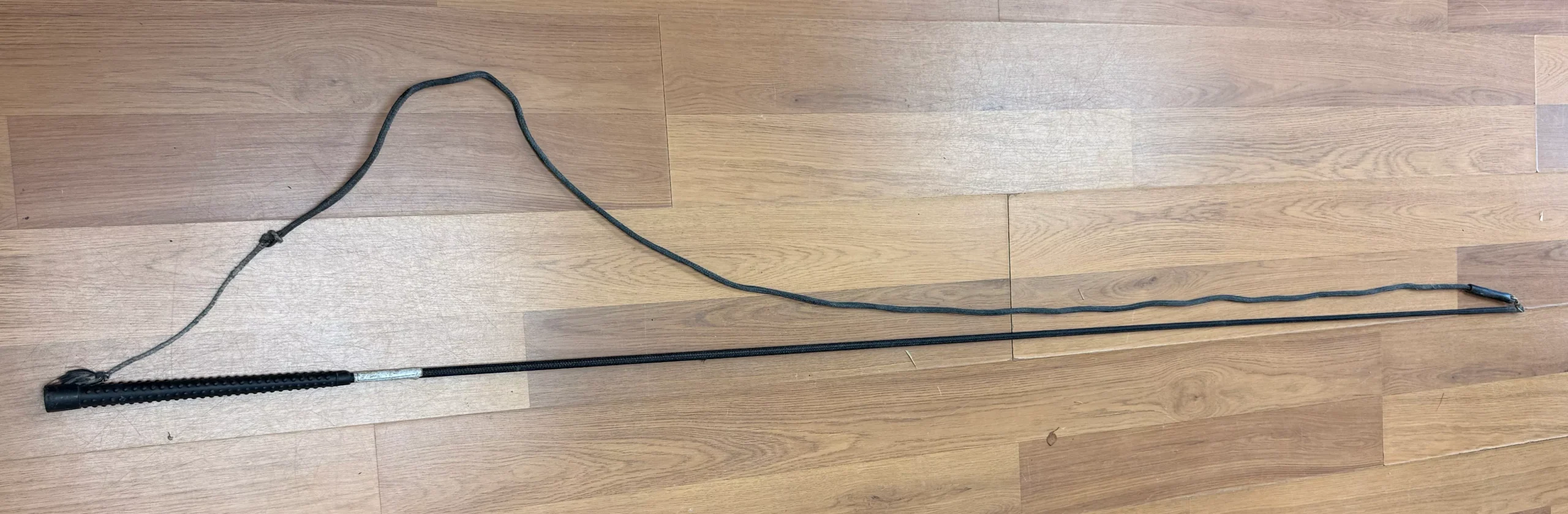 65" Lunge whip with 65" lash