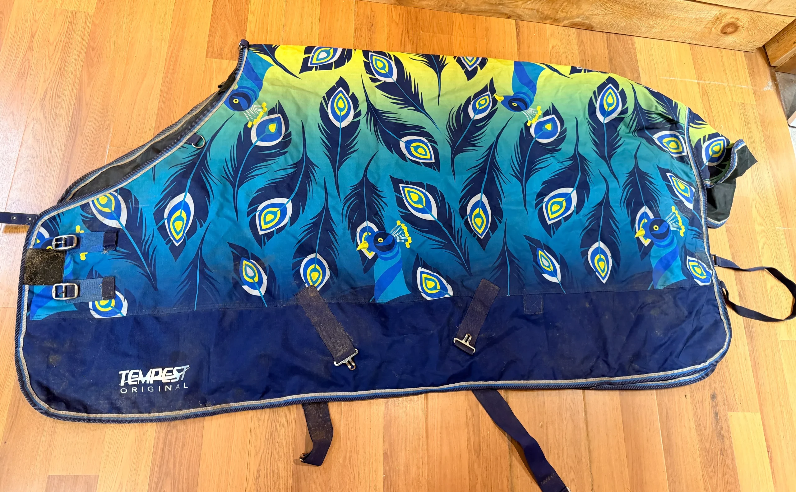 66" Tempest Turn out sheet Peacocks