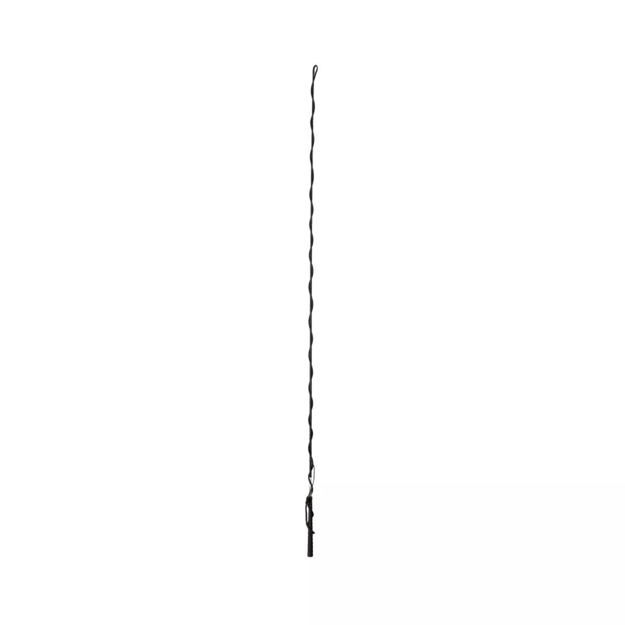 7' Pro Lunge Whip
