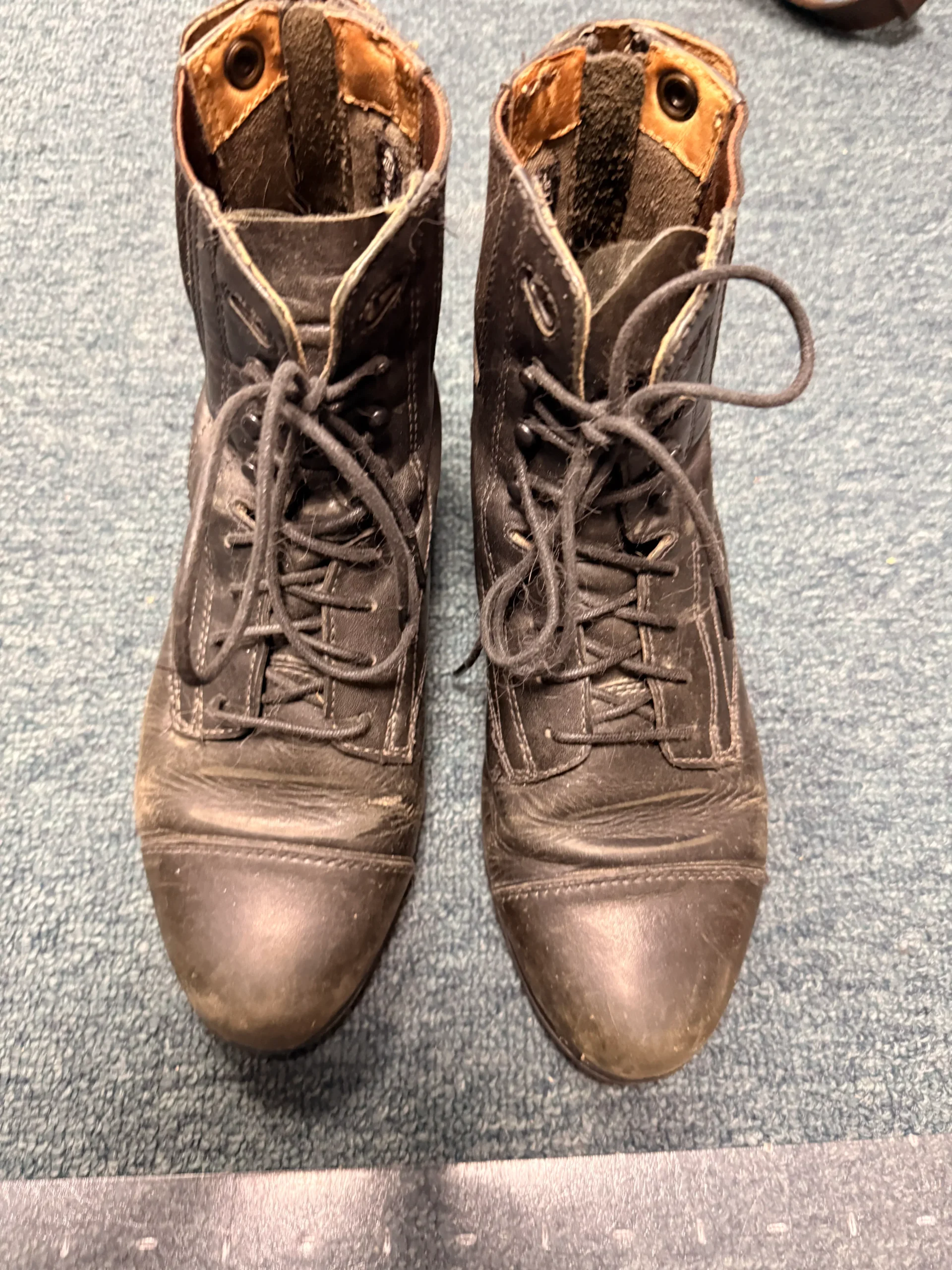 8.5 women's ariat leather paddock boots with laces and zippers
