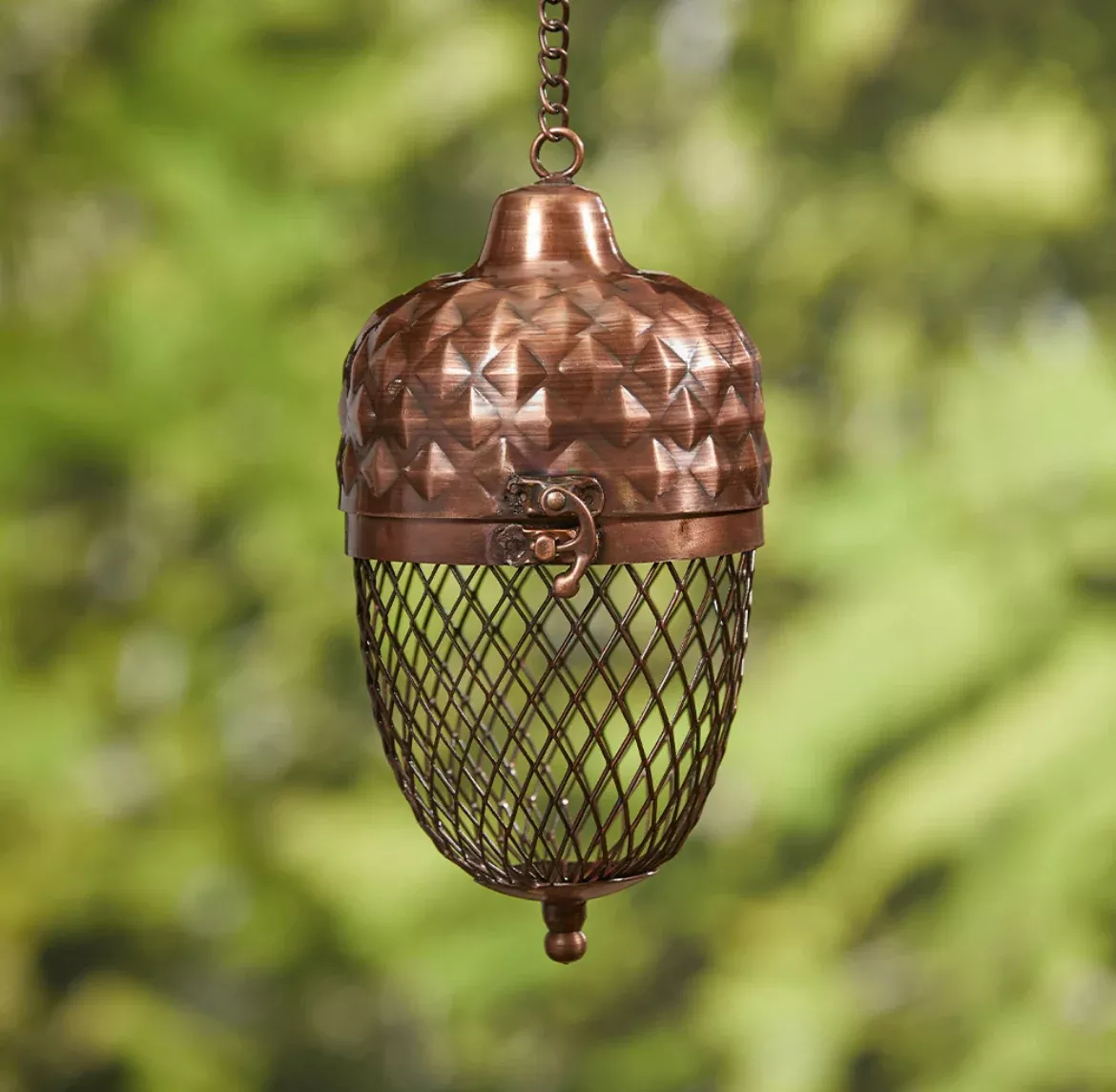 Acorn Bird Seed Holder