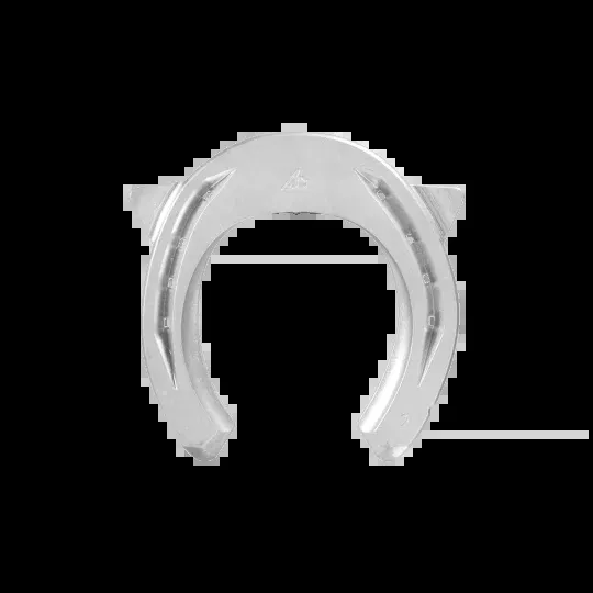 ACR-2110 Hind Suspensory Shoe