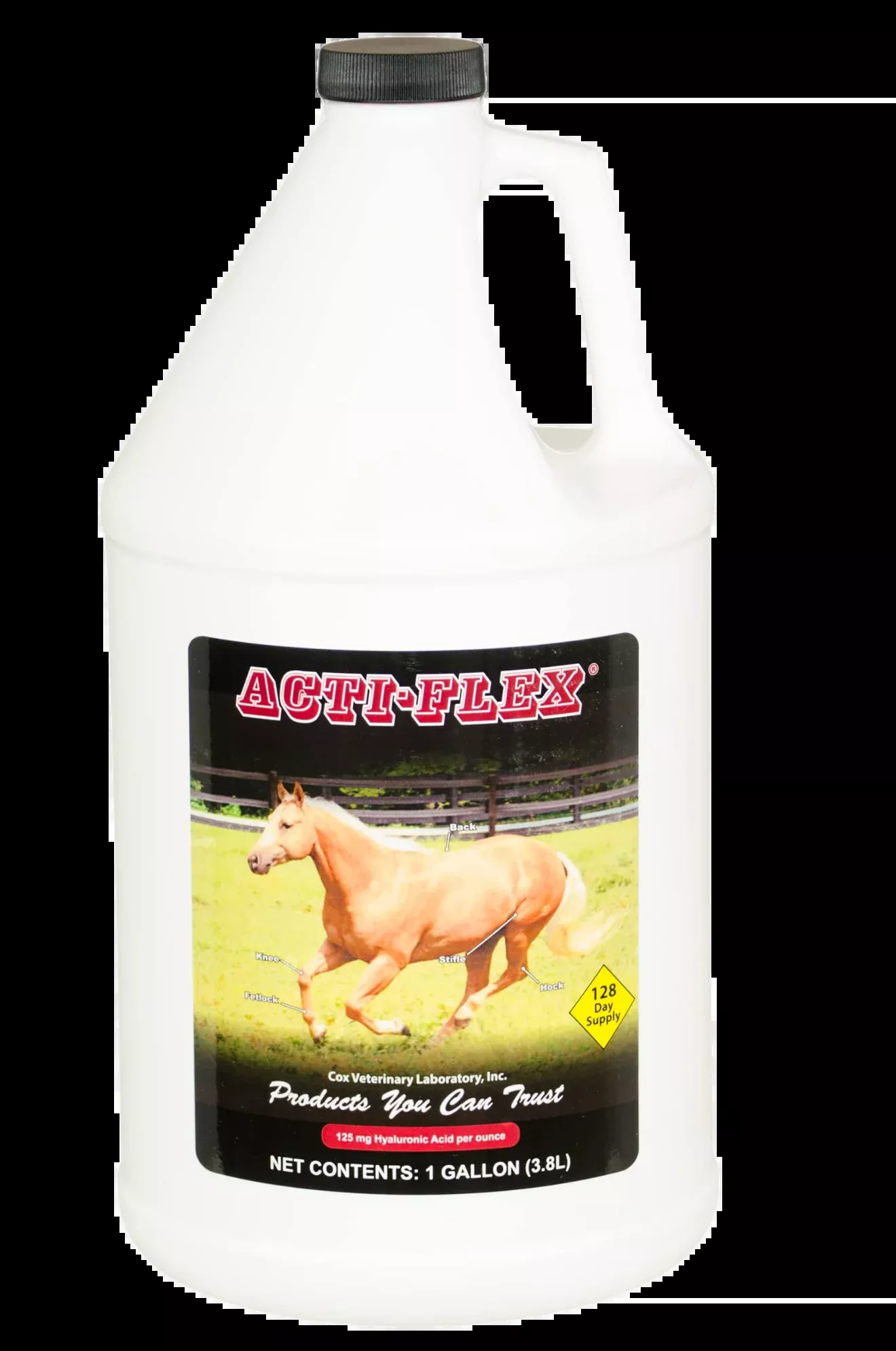 Acti FlexDISC