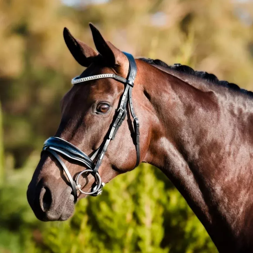 'Adeline' Leather Bridle Black Full