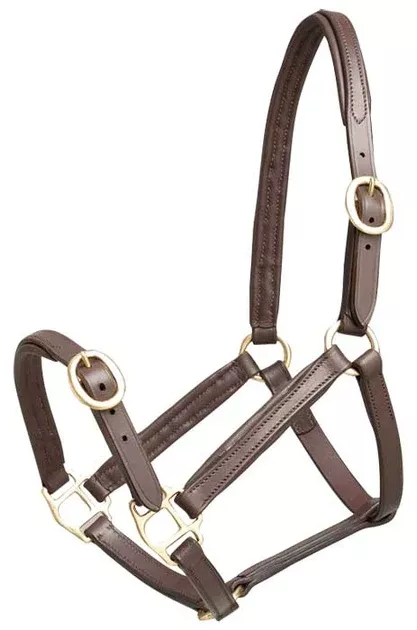 Aintree Leather Foal Headcollar