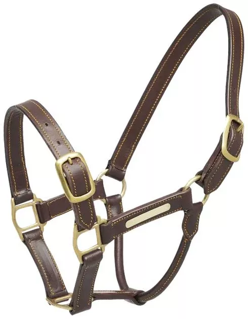 Aintree Leather Headcollar
