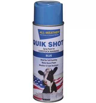 All-Weather Quick Shot, Inverted Tip Spray Paint, Blue
