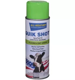 All- Weather Quick Shot, Inverted Tip Spray Paint, Green