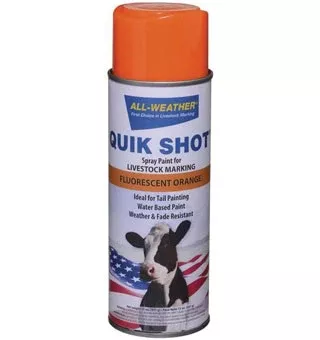 All-Weather Quick Shot, Inverted Tip Spray Paint, Orange