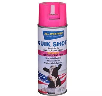 All-Weather Quick Shot, Inverted Tip Spray Paint, Pink