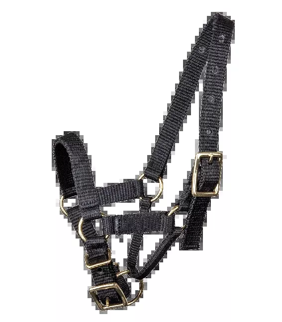 Alpaca Halter