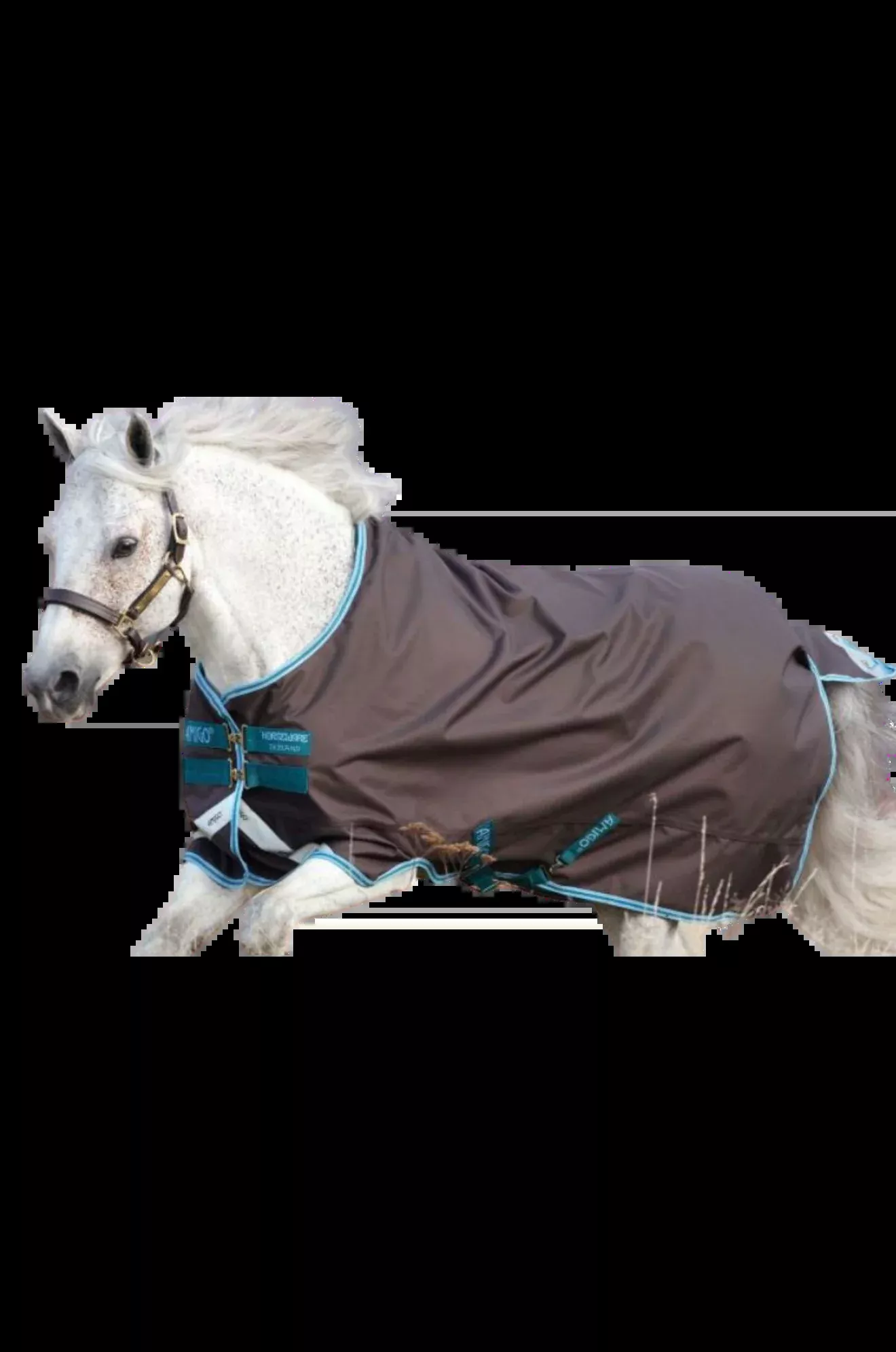 Amigo Bravo 12 Pony Turnout Lite disc