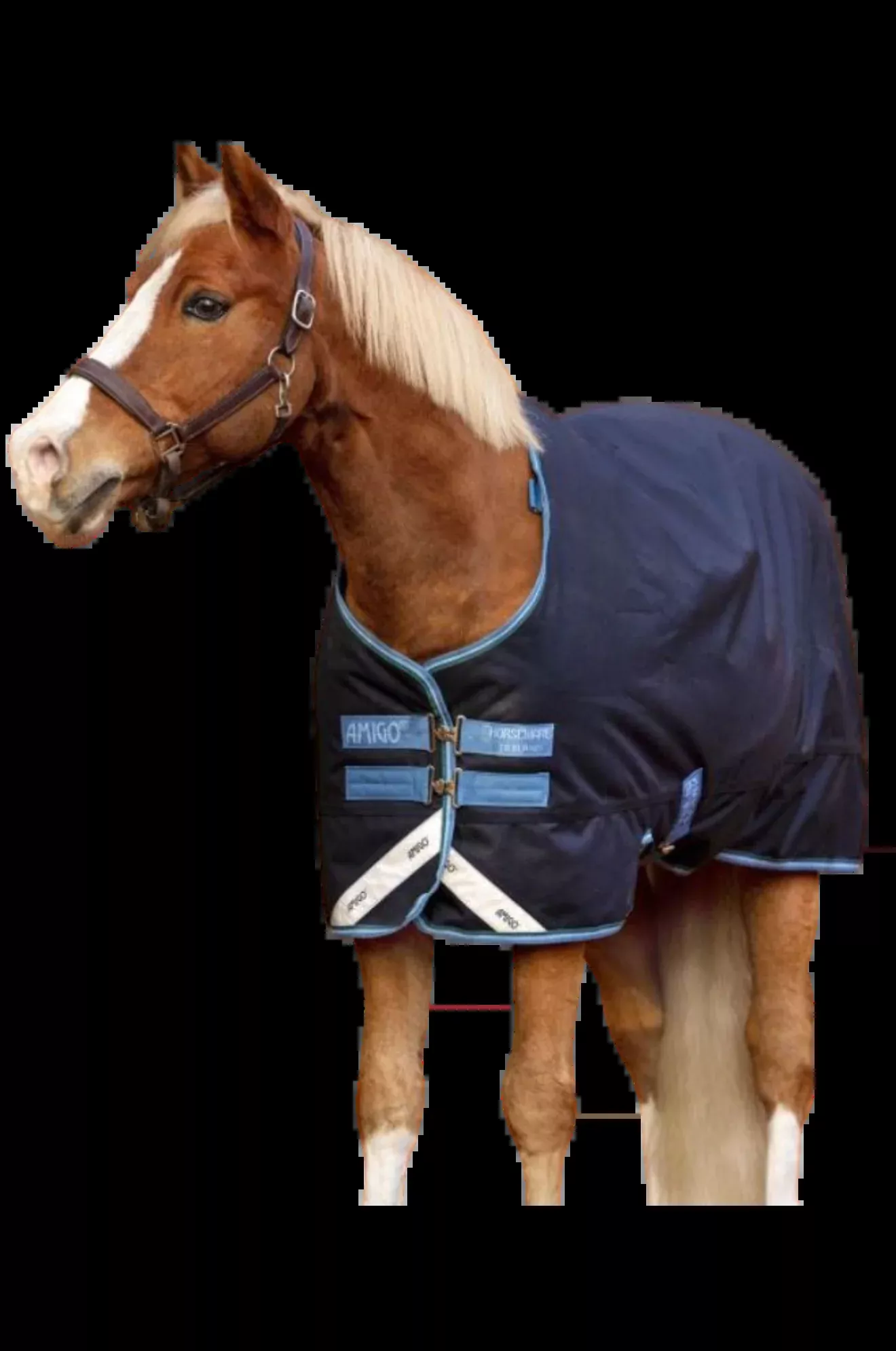 Amigo Bravo 12 Pony Turnout Medium disc