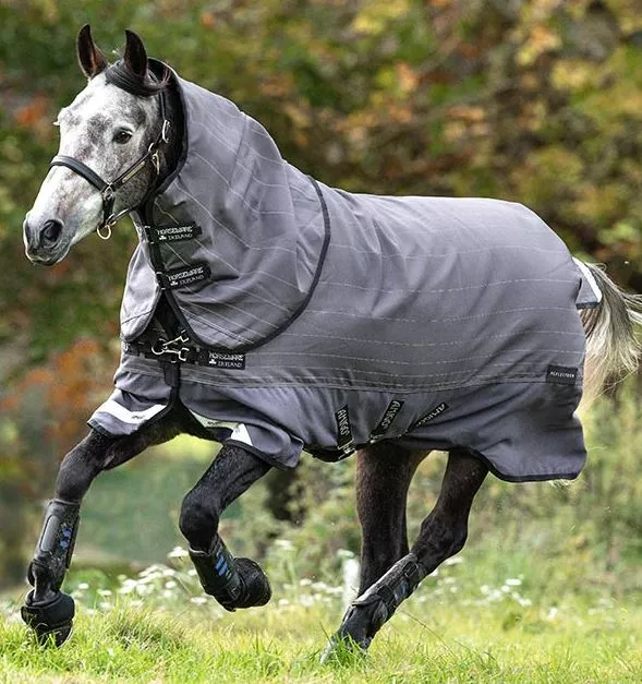 Amigo Bravo 12 Reflectech Plus 100g Medium Lite Rug