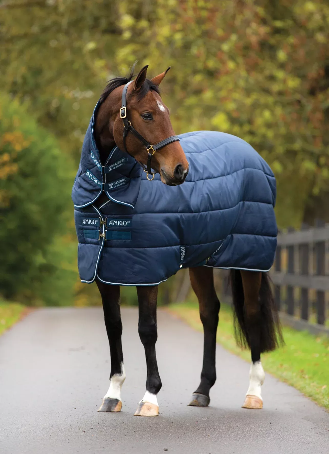 Amigo Insulator Stable Blanket with Hood (350g Heavy)