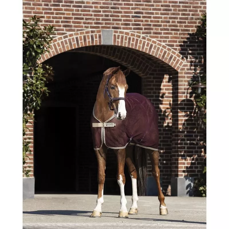 Amigo Net Cooler – Fig/Navy/Tan