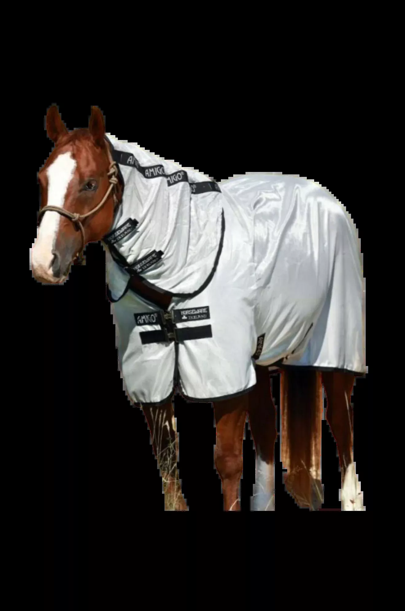 Amigo Stock Horse FlysheetDISC