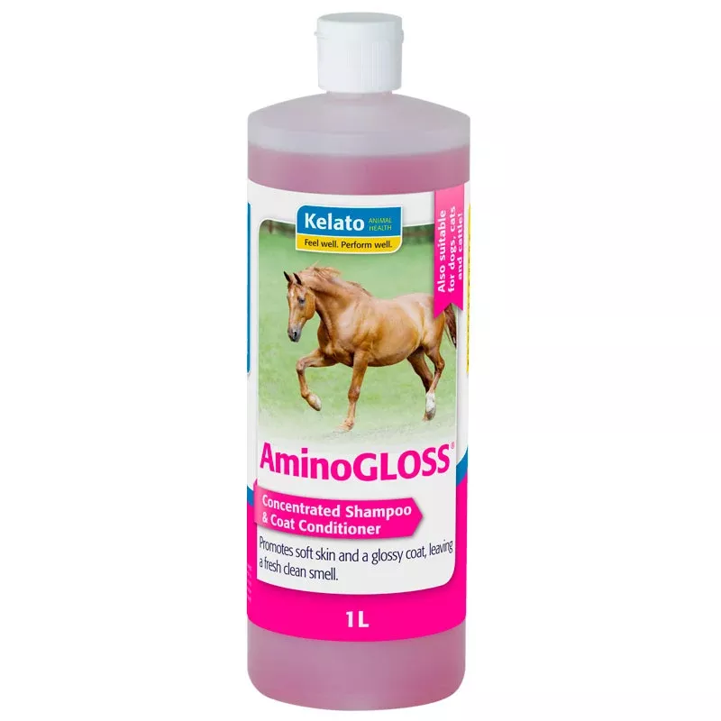 AminoGloss Shampoo
