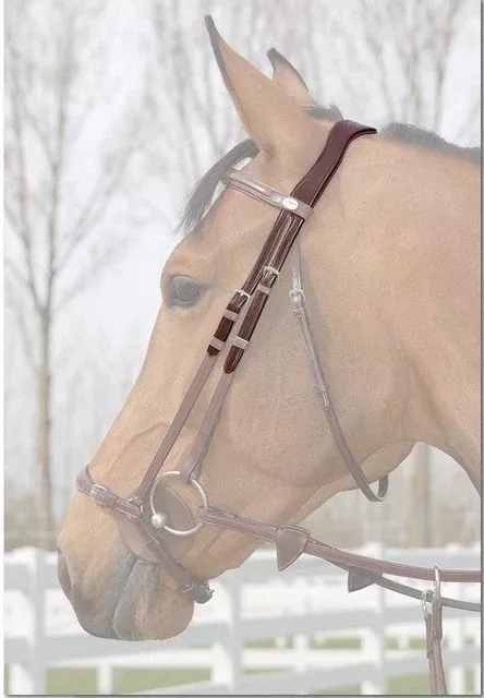 Anatomic Headpiece