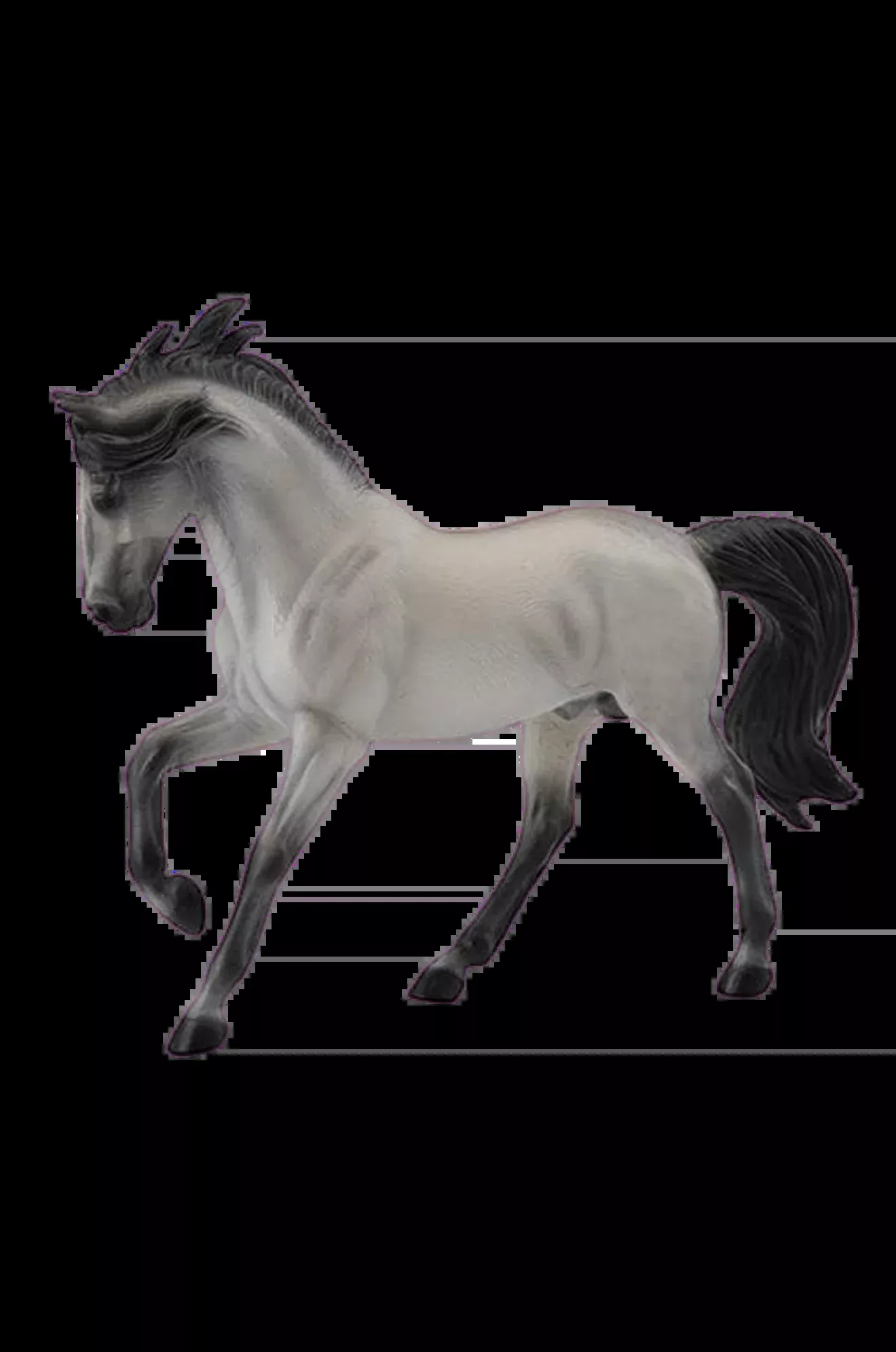 Andalusian Grey Stallion