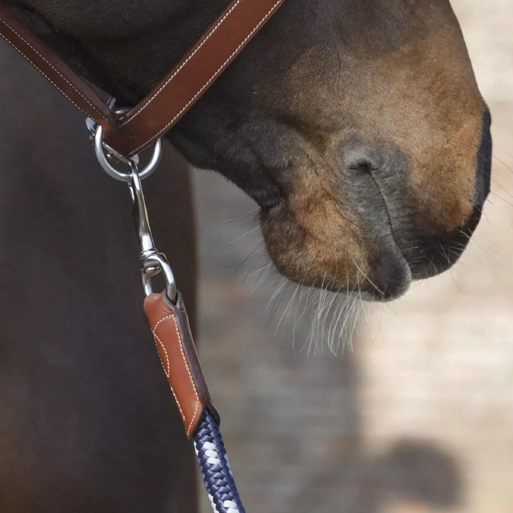 Antares Signature Lead Rope