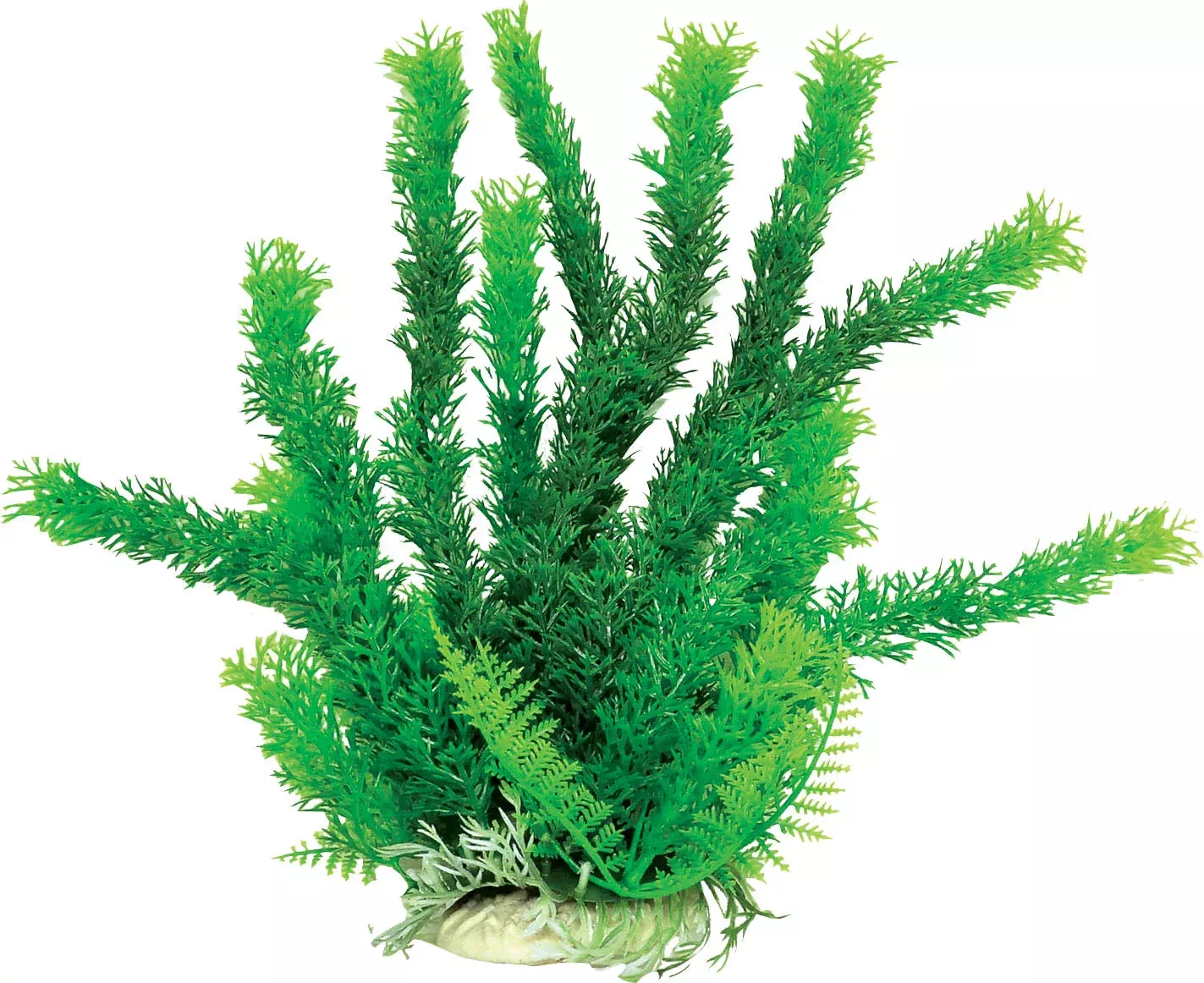 Aquatop Cabomba-Like Weighted Aquarium Plant Green 6 In