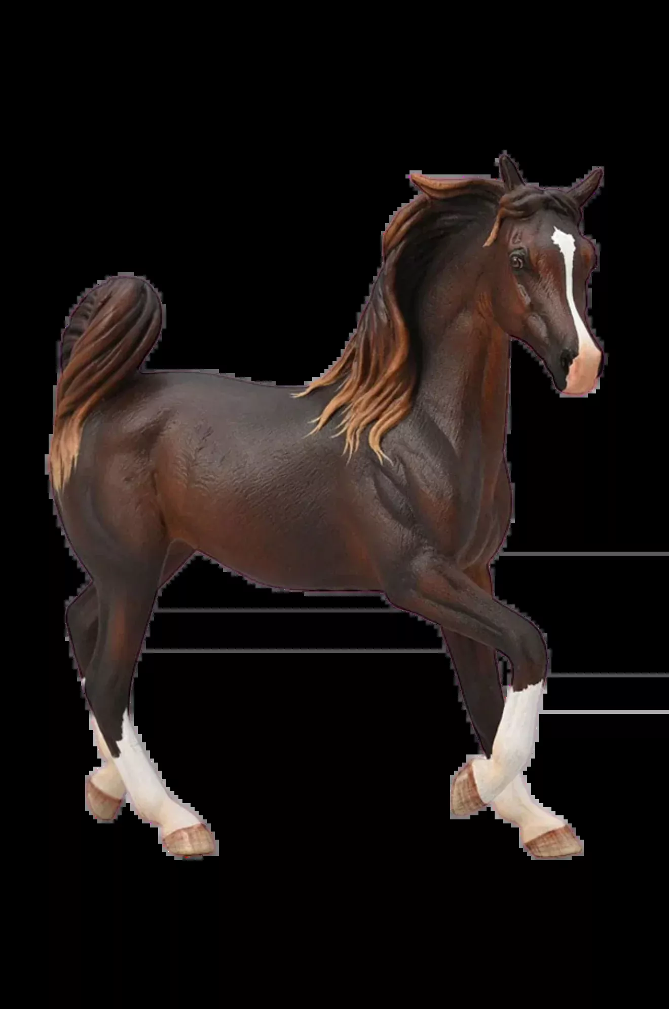 Arabian Liver Chestnut Mare