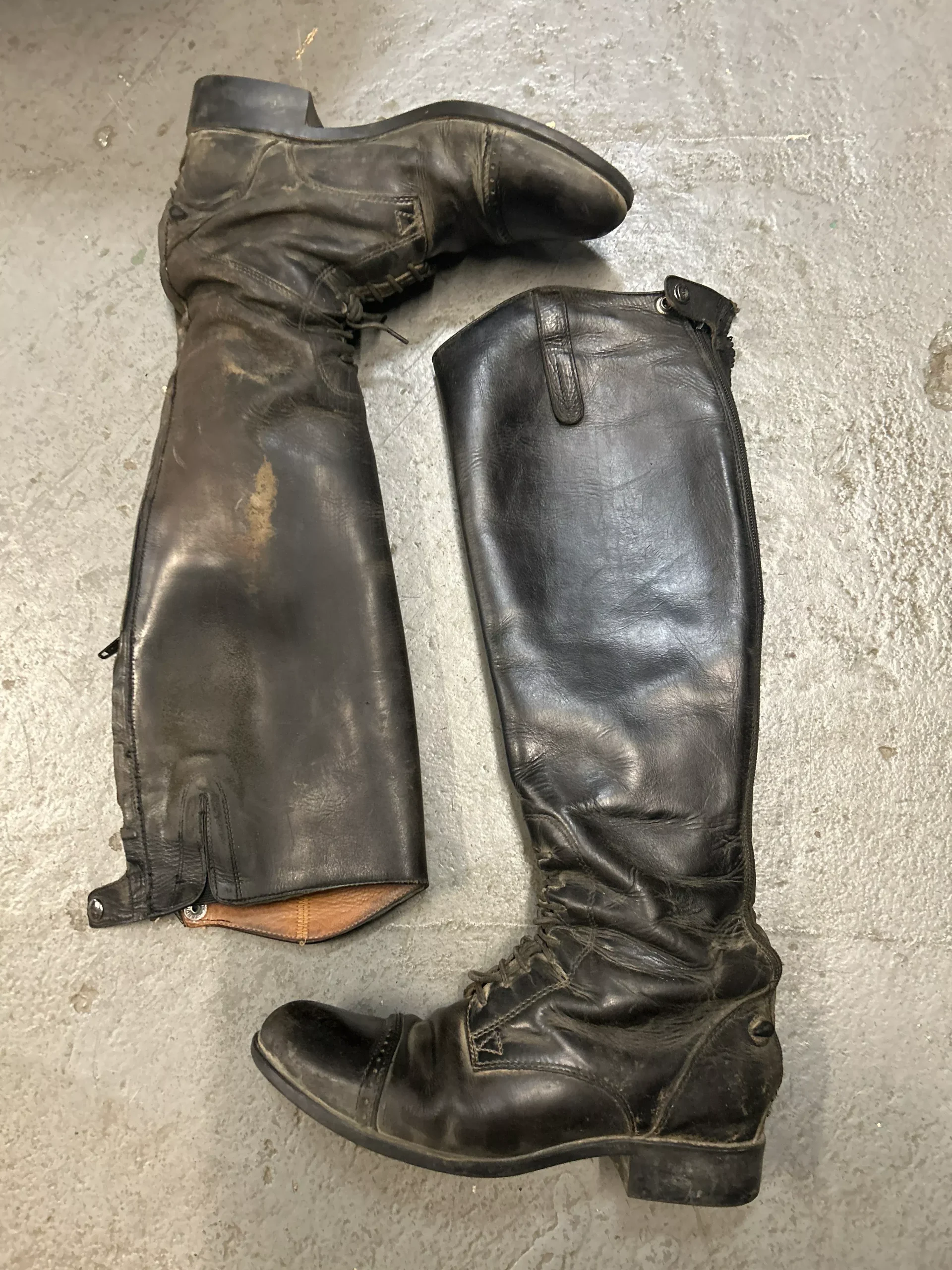 Ariat Field Boots 8 Reg/Tall