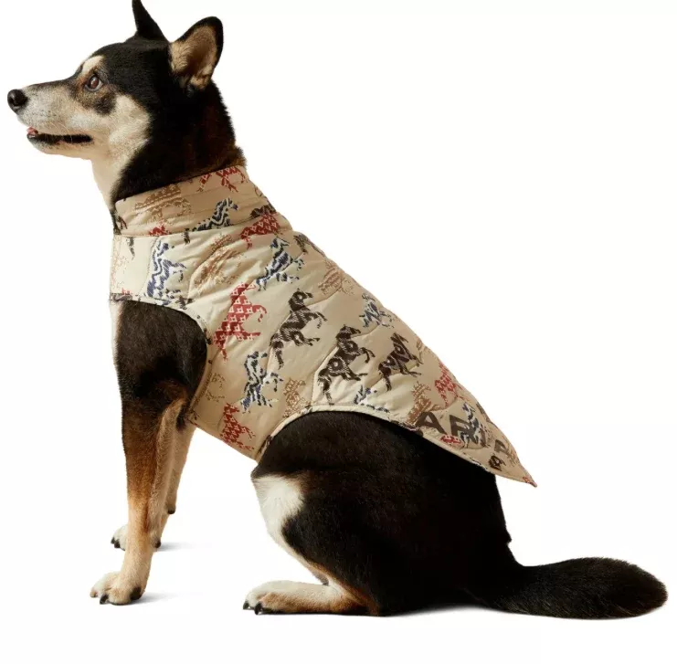 Ariat Painted Pony Dog Coat