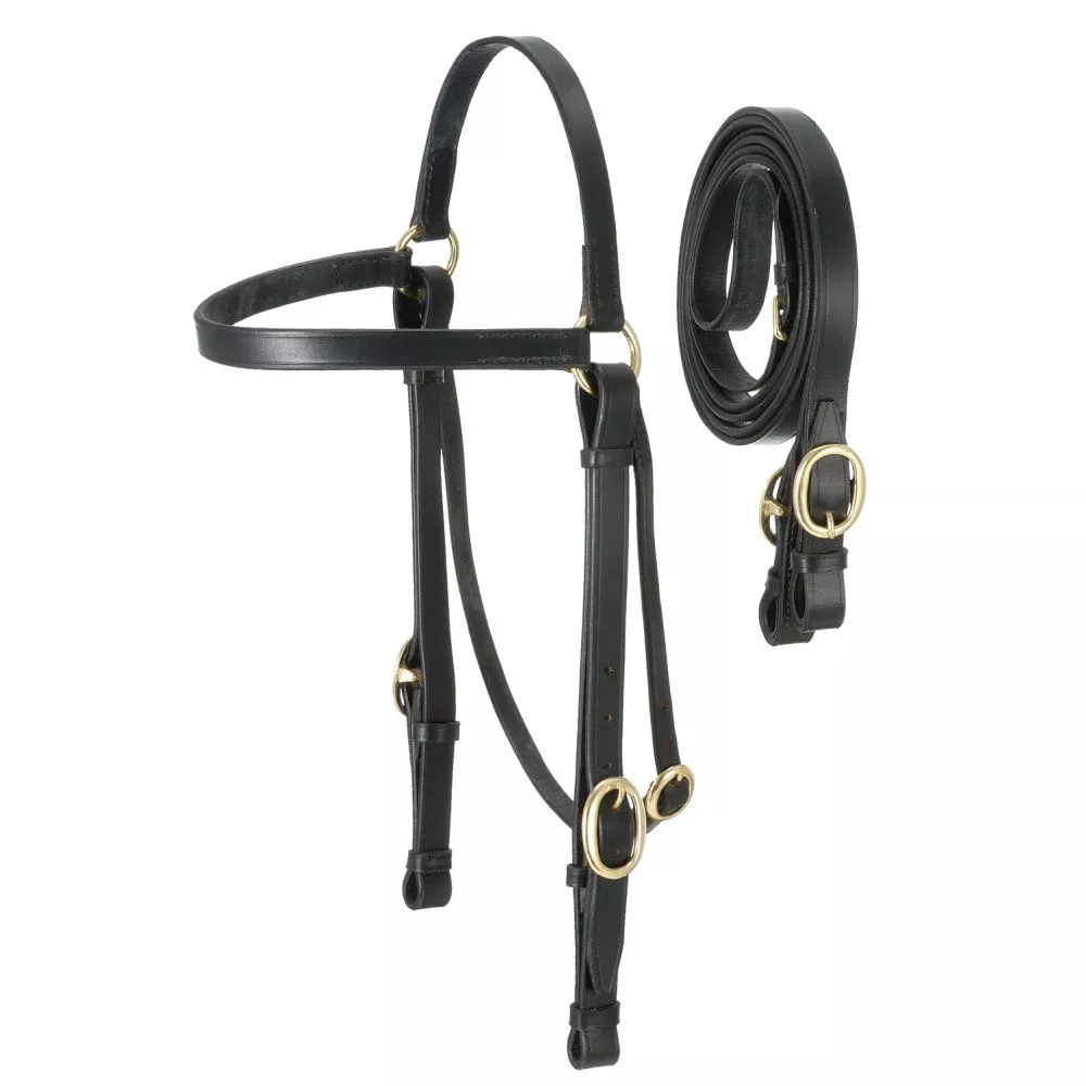 Australian Outrider Barco Bridle & Rein