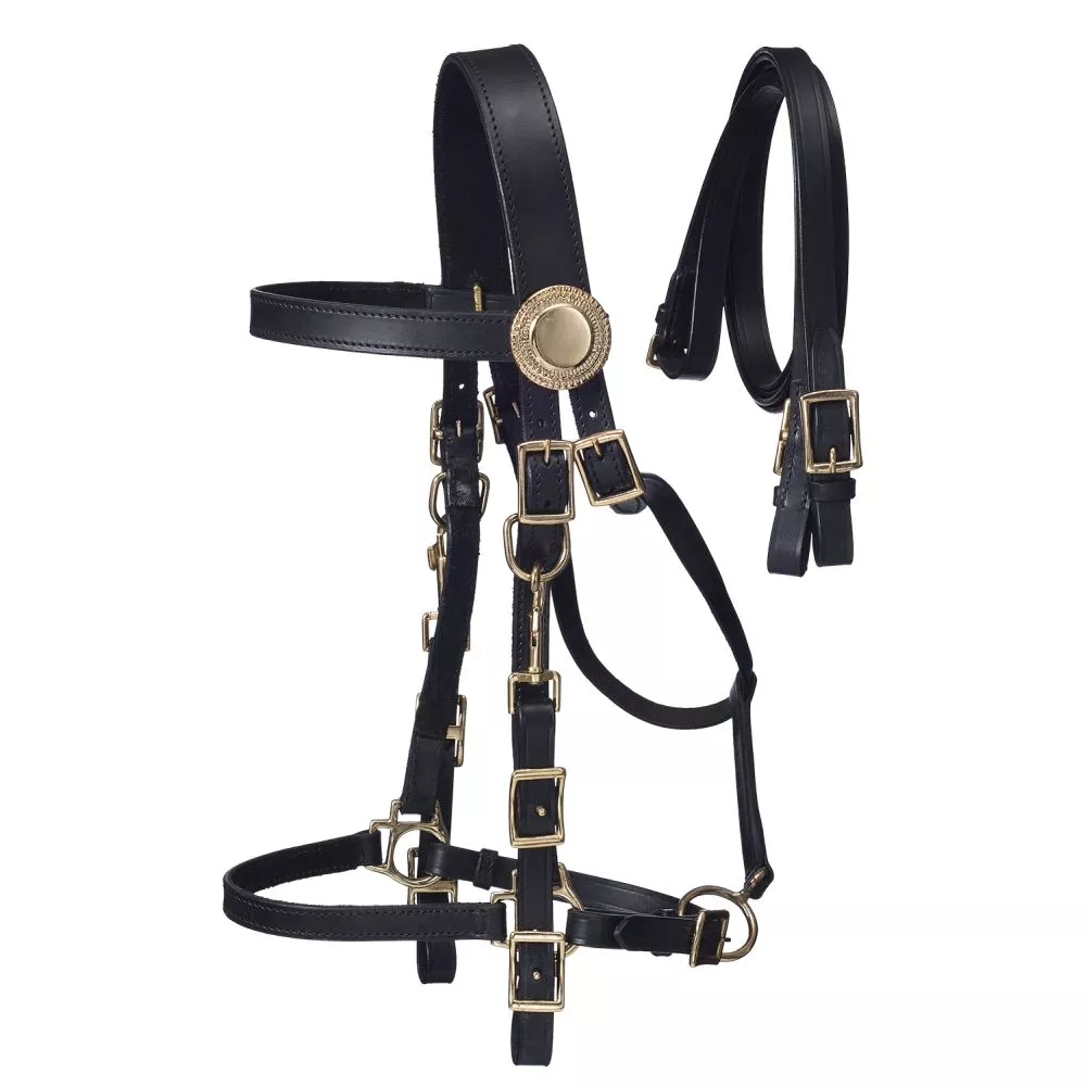 Australian Outrider Supreme Leather Halter Bridle