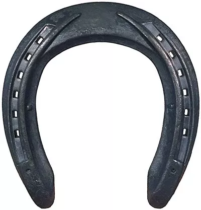 Avanti Steel PLR Shoe