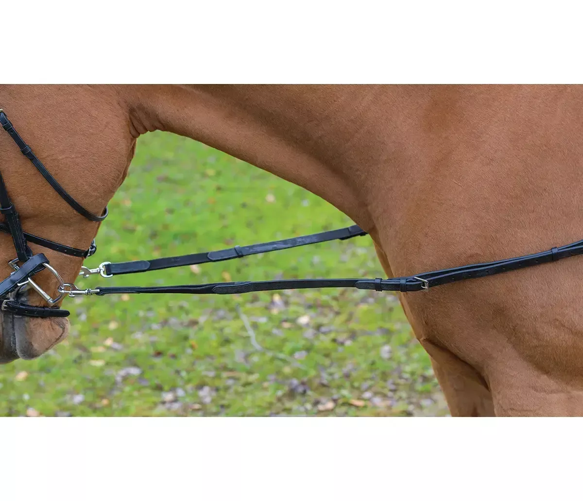 Avignon - Leather & Elastic Side Reins -