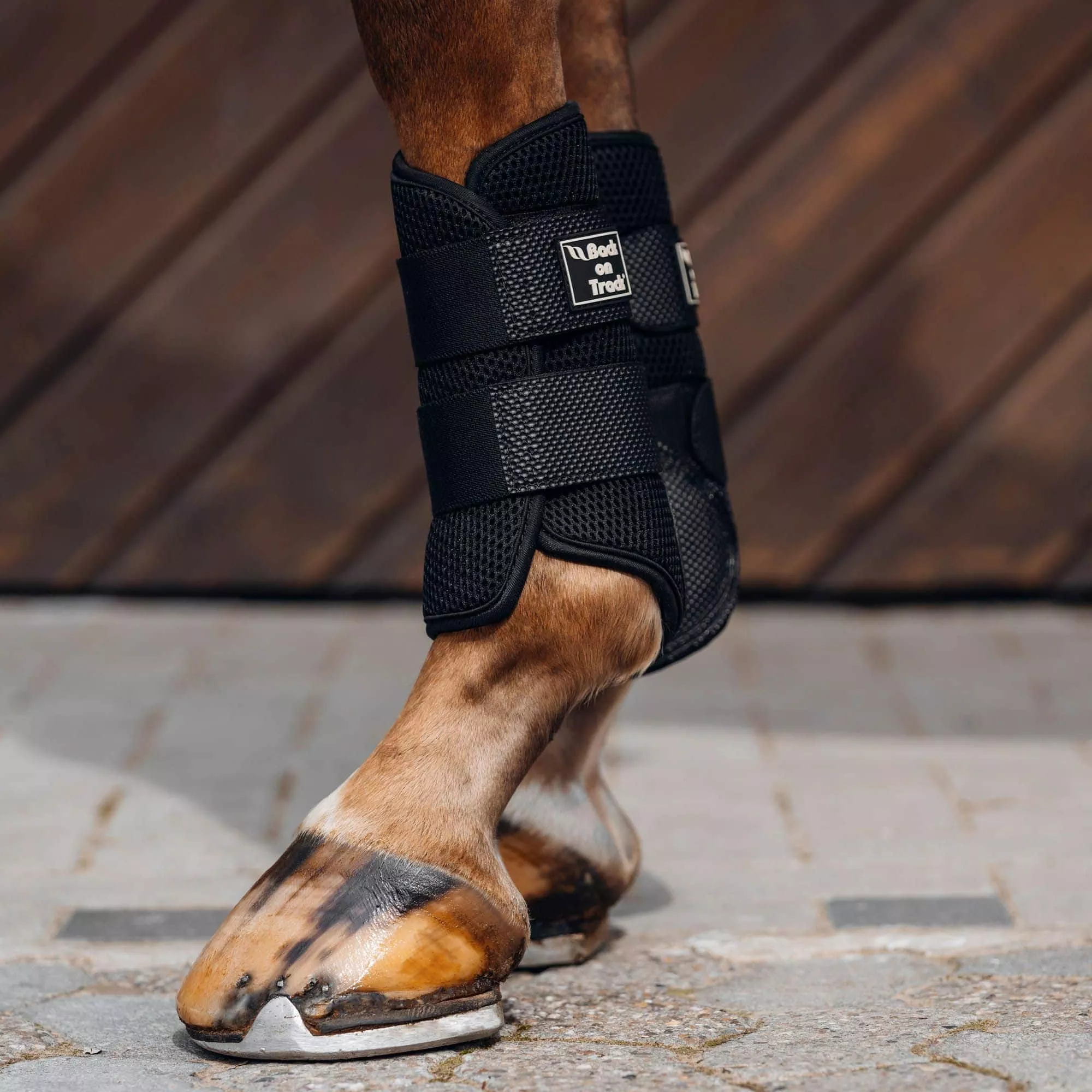 Back On Track 3D Mesh Brush Boots Black Small